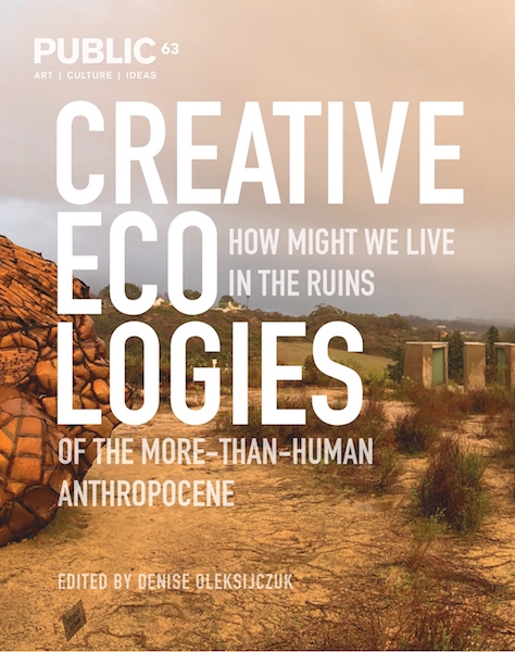 Cover of Public 63
