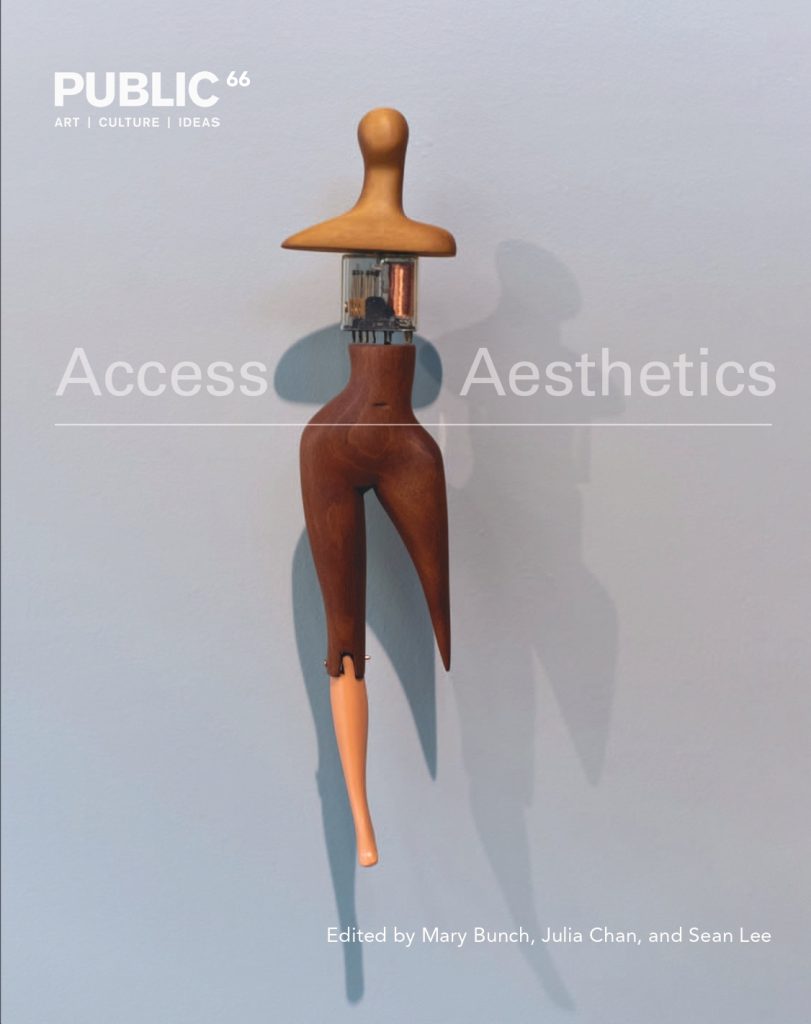 Cover of Public 66